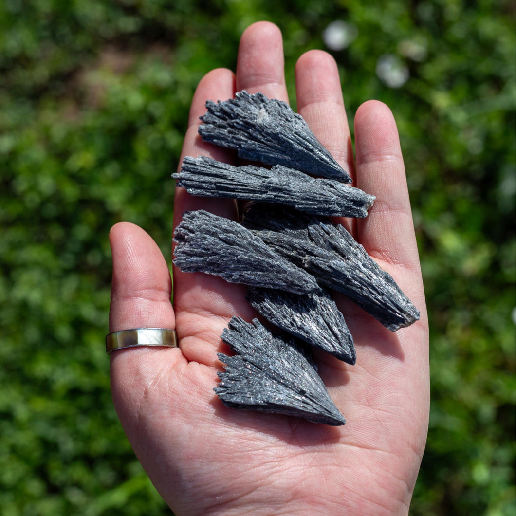 Black Kyanite Blade in the palm of a hand - Down To Earth