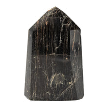Load image into Gallery viewer, Blk Tourm whema Pnt Pol Point white background front picture
