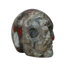 Load image into Gallery viewer, Bloodstone Skull photographed in a studio setting side angle - Down To Earth
