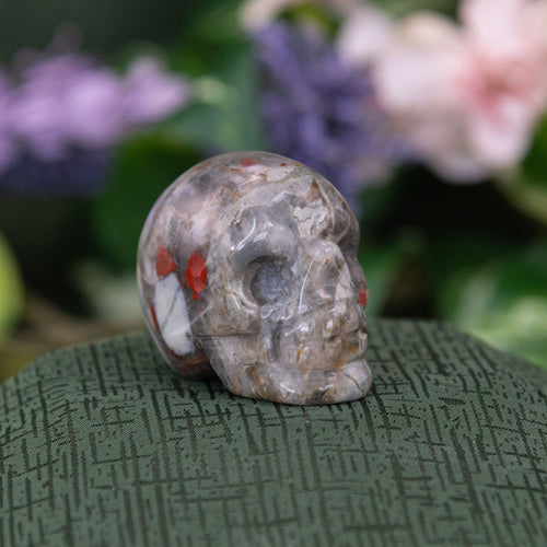Bloodstone Skull photographed in a styled setting - Down To Earth