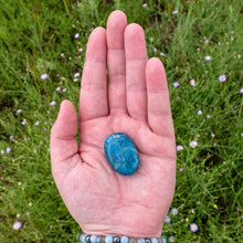 Load image into Gallery viewer, &quot;Open hand with a small piece of tumbled Blue Apatite with greenery in the background,&quot; - Down to Earth.
