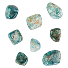 Load image into Gallery viewer, Blue Apatite Tumbled scattered top-down angle on a white background - Down to Earth

