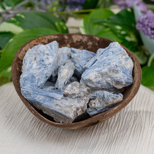 Blue Kyanite In Matrix Raw Crystals in a coconut shell - Down To Earth