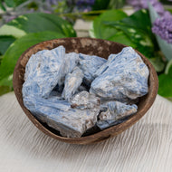 Blue Kyanite In Matrix Raw Crystals in a coconut shell - Down To Earth