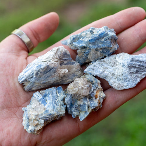 Blue Kyanite in Matrix in Palm of a Hand - Down To Earth