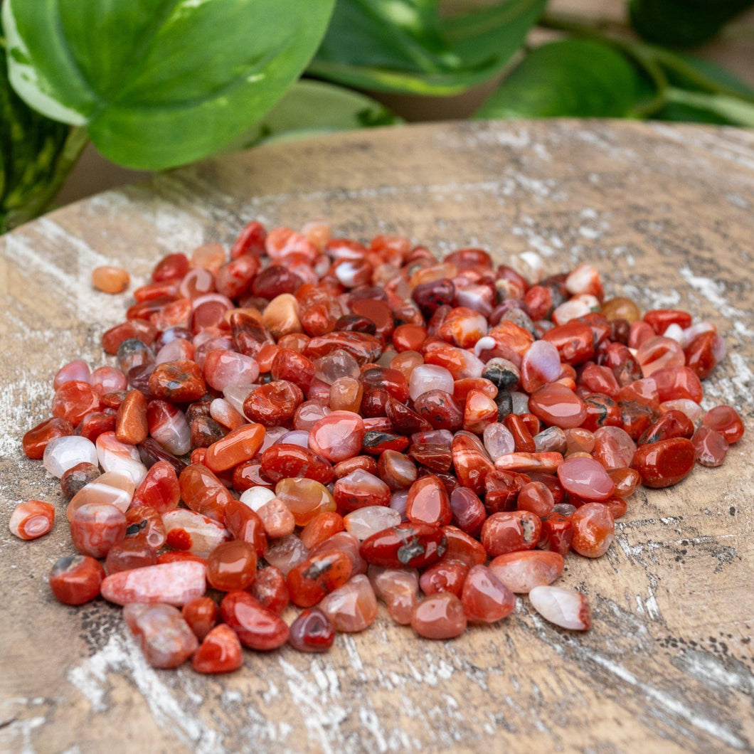 Carnelian Crystal Chips Styled Photo  - Down To Earth