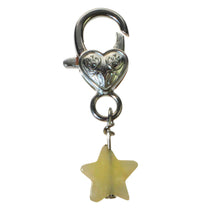 Load image into Gallery viewer, Citrine Crystal Pet Pendant - Down To Earth
