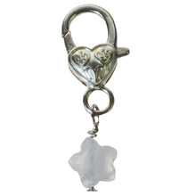 Load image into Gallery viewer, Clear Quartz Crystal Pet Pendant - Down To Earth
