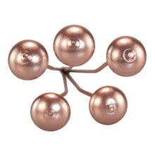 Load image into Gallery viewer, Copper Mushroom Cluster top down on a white background - Down To Earth
