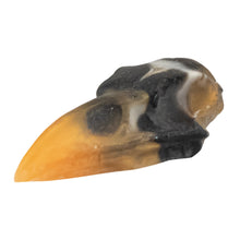 Load image into Gallery viewer, Resin Crow Skull black &amp; orange side facing on a white background - Down To Earth
