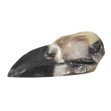 Load image into Gallery viewer, Resin Crow Skull black &amp; white side facing on a white background - Down To Earth
