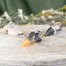 Load image into Gallery viewer, Resin Crow Skull Group Photo on a style background - Down To Earth
