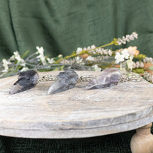 Load image into Gallery viewer, Resin Crow Skull Keychain group photo front facing on a style background - Down To Earth
