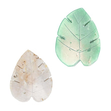 Load image into Gallery viewer, Crystal Leaf Group Photo displayed on a white background - Down To Earth
