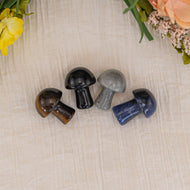Crystal Mushroom, Black Obsidian, Labradorite, Tiger's Eye, Sodalite - Down To Earth