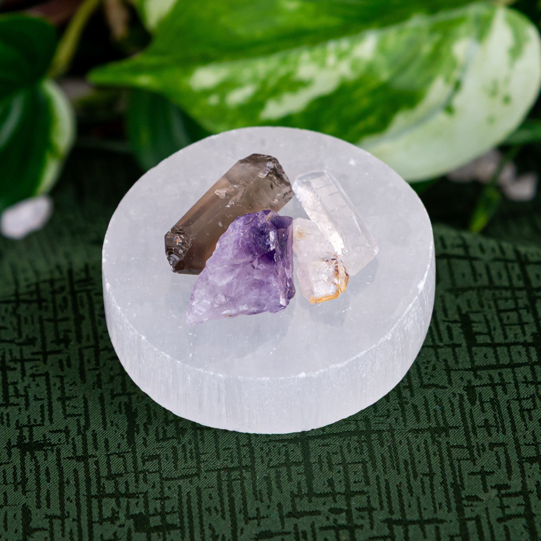 Crystal Point Collection Plate – Down To Earth
