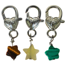 Load image into Gallery viewer, Crystal Star Pet Pendants- Down To Earth
