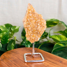 Load image into Gallery viewer, "Single decorative Druze Citrine with a silver stand on a wooden base with green foliage in the background," - Down to Earth.
