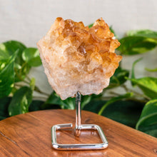 Load image into Gallery viewer, "Druze Citrine on a silver stand on top of a wooden base with green foliage in the background," - Down to Earth.
