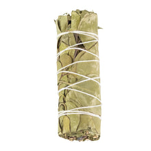 Load image into Gallery viewer, Eucalyptus Smudge Stick 1ct on a white background - Down To Earth
