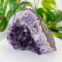 Load image into Gallery viewer, Amethyst Cut Base Geode Cluster Large size high angle styled photo - Down to Earth

