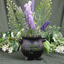 Load image into Gallery viewer, Herbs for Spells Cauldron Planter front facing with plants inside displayed on a styled background - Down To Earth
