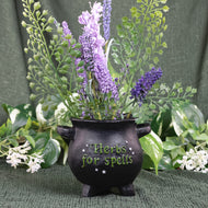 Herbs for Spells Cauldron Planter front facing with plants inside displayed on a styled background - Down To Earth