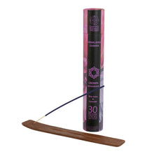Load image into Gallery viewer, Himalayan Chakra Incense Sticks w/Burner Crown displayed on a white background - Down To Earth
