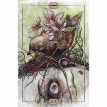 Load image into Gallery viewer, Hush Tarot Deck Ace Card - Down To Earth
