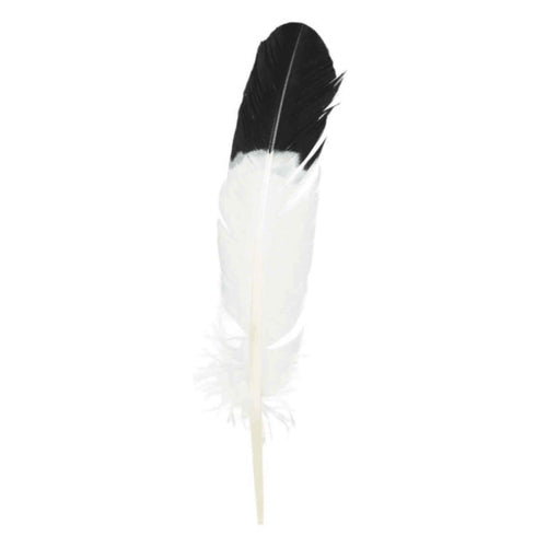 Imitation Eagle Feather - Down To Earth