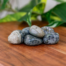 Load image into Gallery viewer, Kambaba Jasper Tumbled on a wooden surface - Down to Earth 

