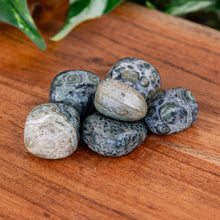 Load image into Gallery viewer, Kambaba Jasper Tumbled on a wooden surface high angle - Down to Earth 
