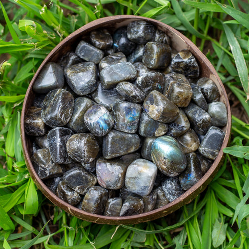 Tumbled Iridescent Healing Crystal Labradorite in a coconut bowl - Down To Earth Online Crystal Retailer