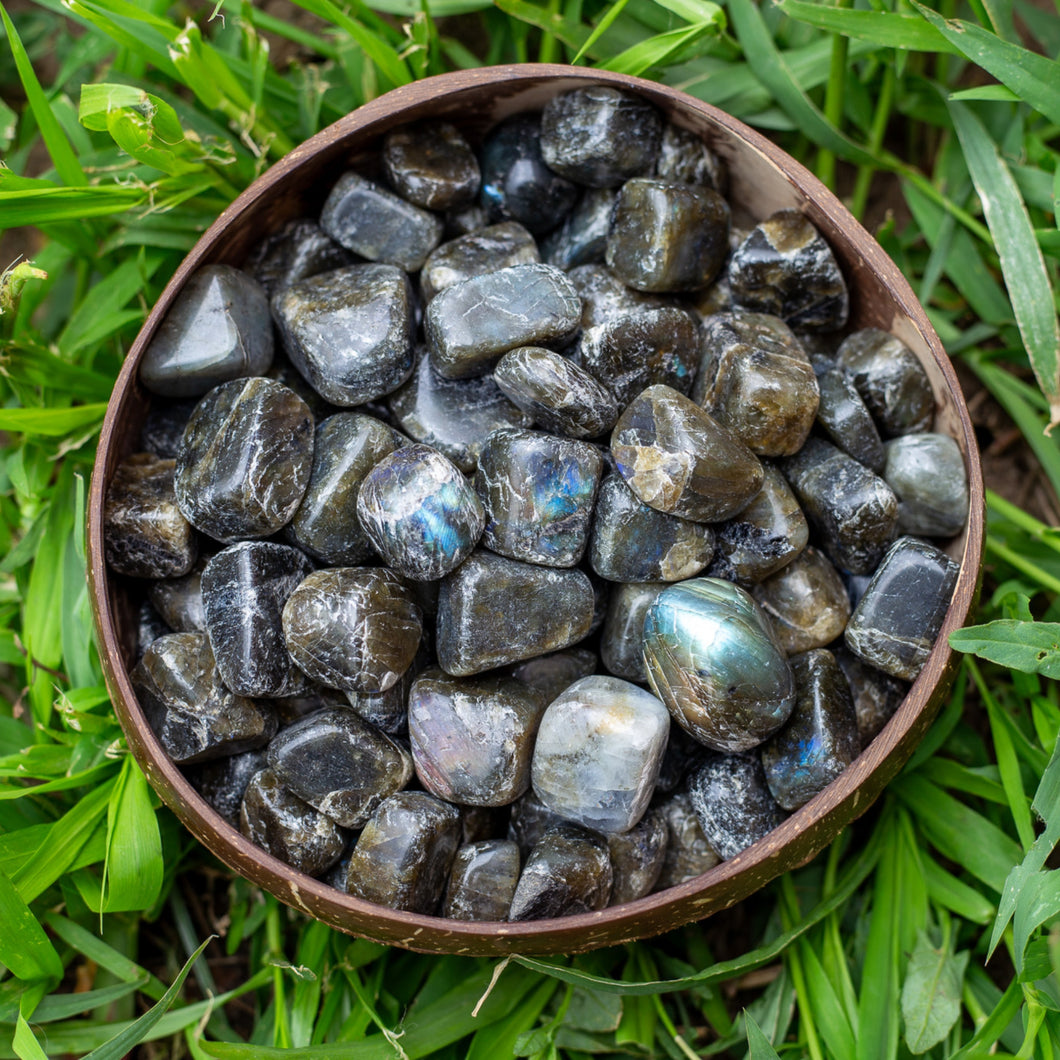 Tumbled Iridescent Healing Crystal Labradorite in a coconut bowl - Down To Earth Online Crystal Retailer