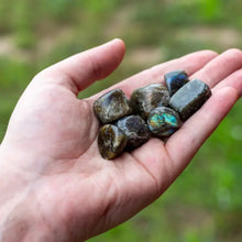 Load image into Gallery viewer, Tumbled Iridescent Healing Crystal Labradorite in the palm of a hand - Down To Earth Online Crystal Retailer
