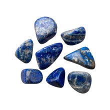 Load image into Gallery viewer, &quot;Eight pieces of tumbled Lapis Lazuli crystals on a white background,&quot; - Down to Earth.
