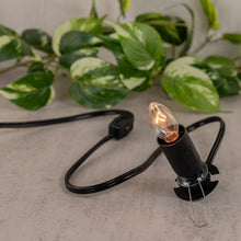 Load image into Gallery viewer, Large Lamp Cord &amp; Bulb displayed on a colorful background while being lit - Down to Earth
