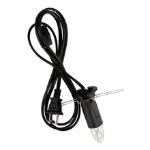 Load image into Gallery viewer, Large Lamp Cord &amp; Bulb displayed on a white background - Down to Earth
