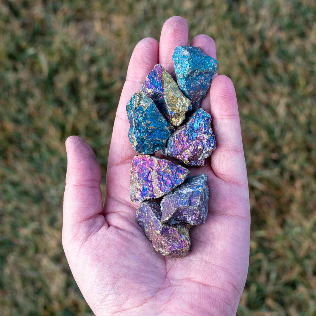 Large Peacock Ore in the Palm of a Hand - Down To Earth