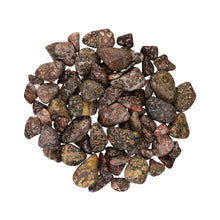 Load image into Gallery viewer, Wholesale 1lb. Tumbled Leopardskin Jasper - Down To Earth
