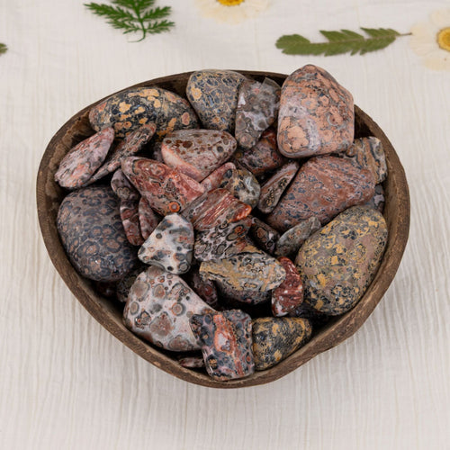 Wholesale 1lb. Tumbled Leopardskin Jasper - Down To Earth