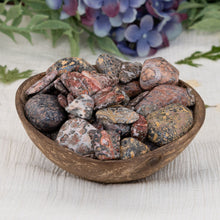 Load image into Gallery viewer, Wholesale 1lb. Tumbled Leopardskin Jasper - Down To Earth
