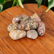 Load image into Gallery viewer, Leopardskin Jasper Tumbled on a wooden surface - Down to Earth
