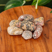Load image into Gallery viewer, Leopardskin Jasper Tumbled on a wooden surface high angle - Down to Earth
