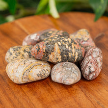 Load image into Gallery viewer, Leopardskin Jasper Tumbled on a wooden surface close up angle - Down to Earth
