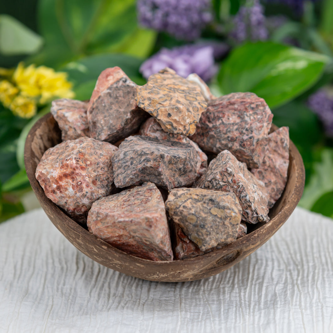 Raw Leopardskin Jasper in a coconut shell - Down To Earth