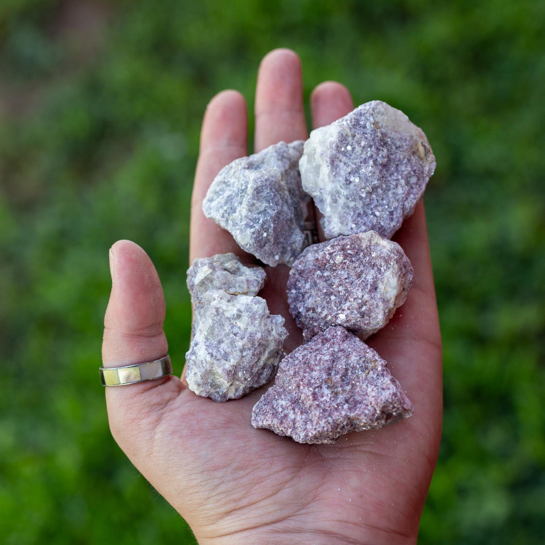 Lepidolite Raw in the Palm of a Hand - Down To Earth