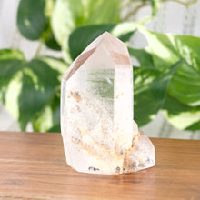 Load image into Gallery viewer, Lodolite Polished Point with plants on a styled background - Down To Earth

