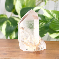 Lodolite Polished Point with plants on a styled background - Down To Earth