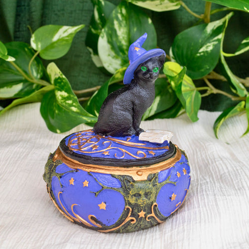 Magical Cat Box Styled - Down To Earth